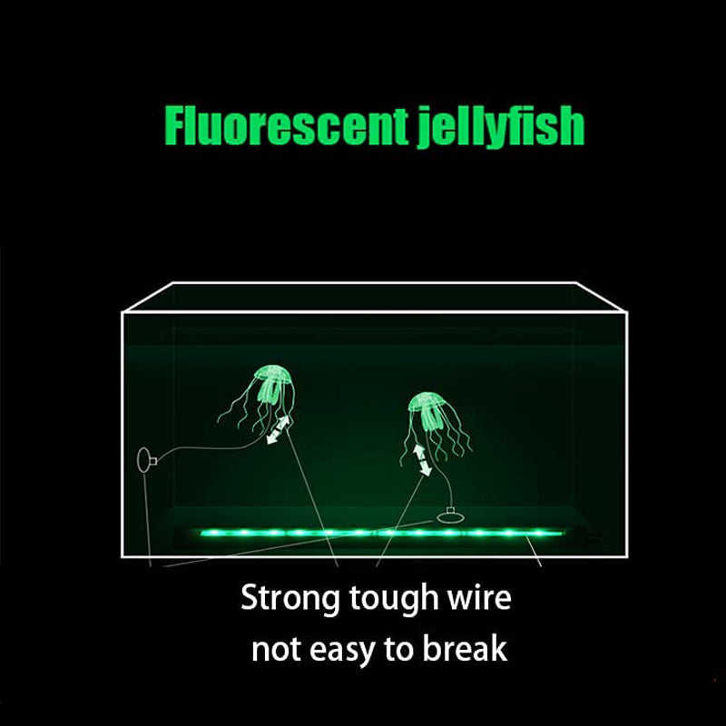Hjemix | Akvarium landskap simulering transparent fluorescerende manet