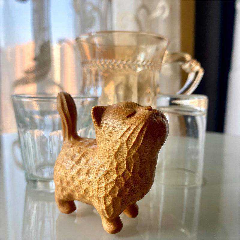 Hjemix | Liten søt tre katt