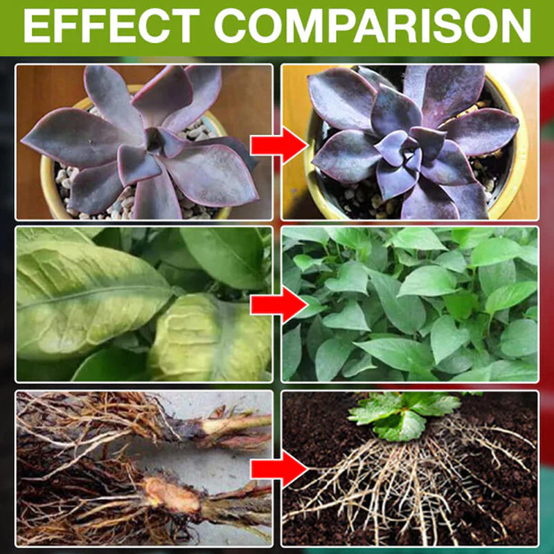 Hjemix | Plantevekstforsterker Tilskudd