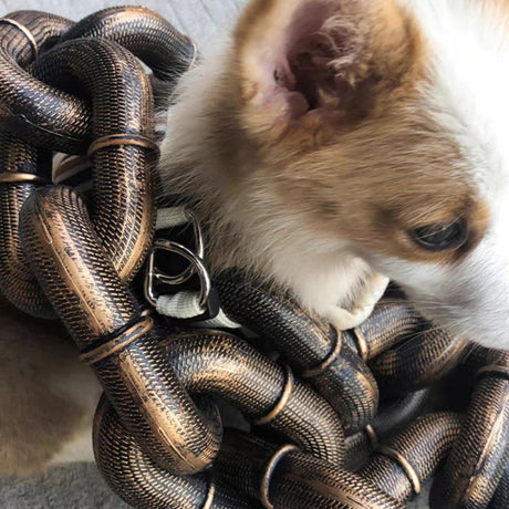 Hjemix | Morsom Stor Hundekrage