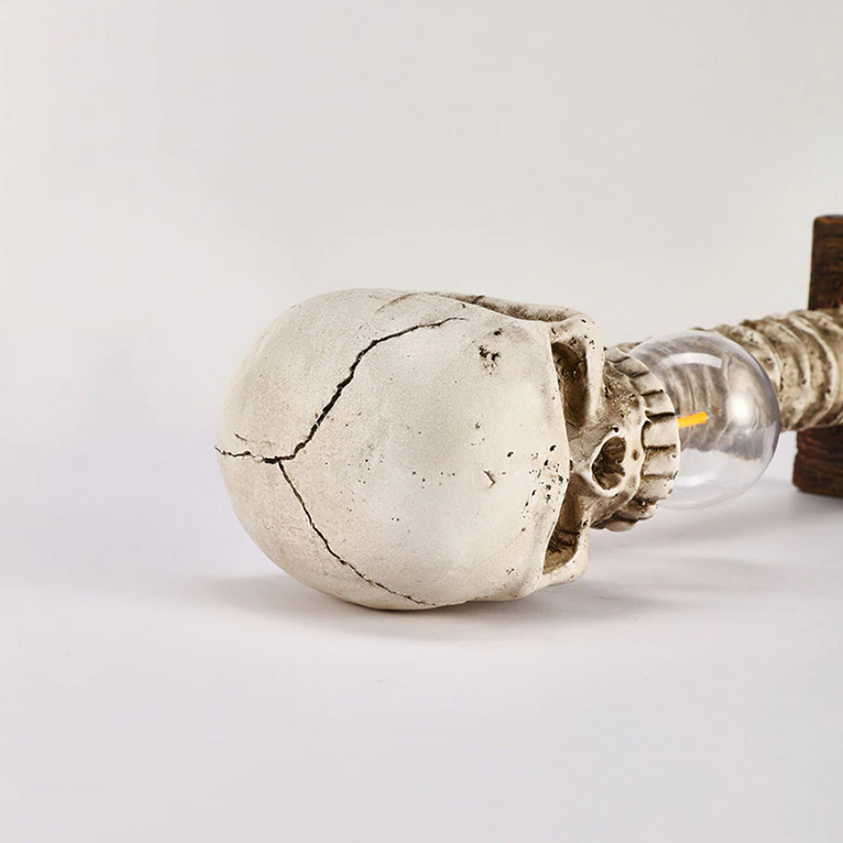 Hjemix | Skjelett med ryggrad Lampe