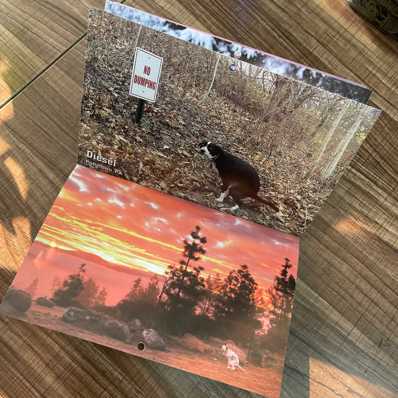 Hjemix | Poopende Hunder Hundekalender