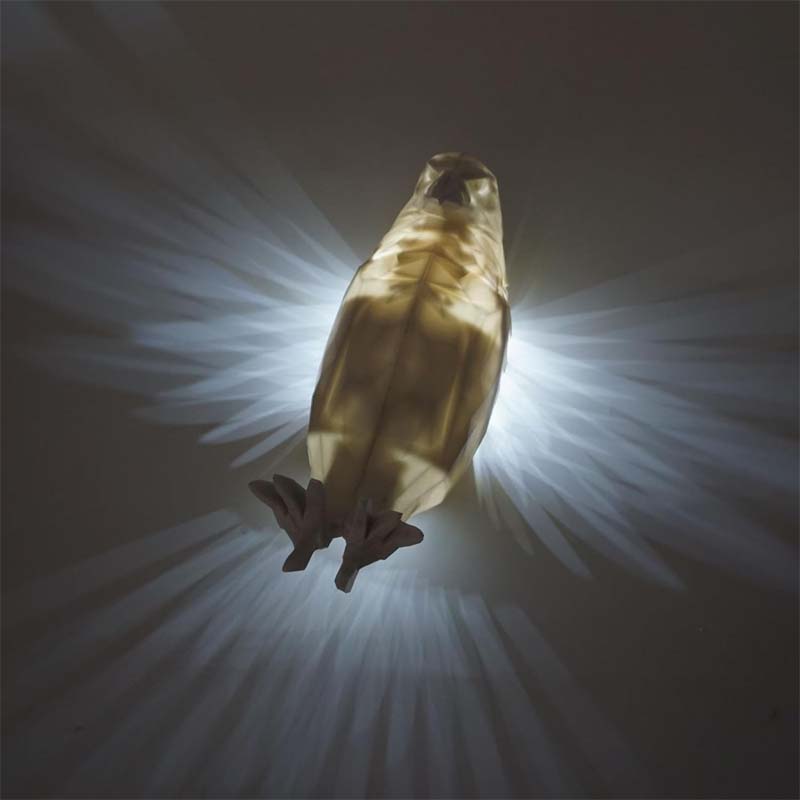 Hjemix | Spritz-cast Ugle Ørn Nattlys