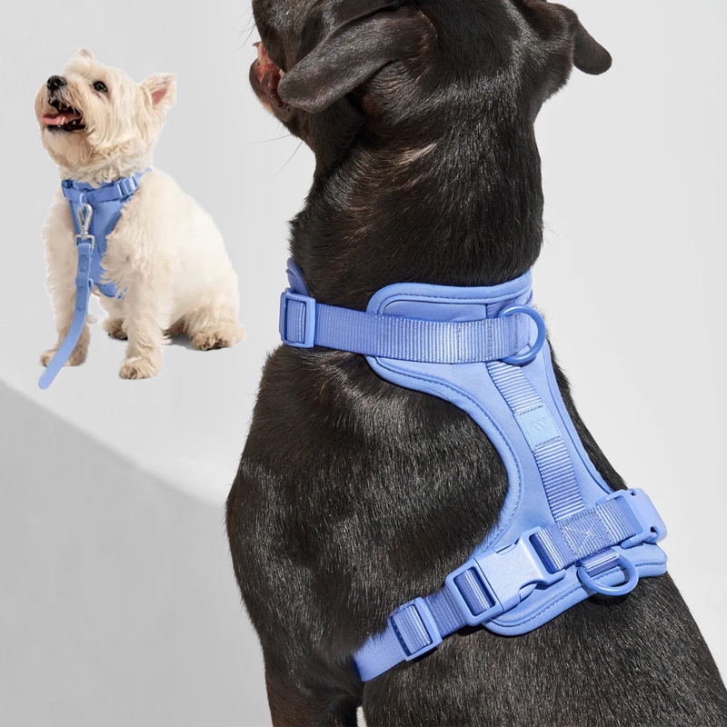 Hjemix | Adjustable Dog Vest Harness with 3 Leash Clips