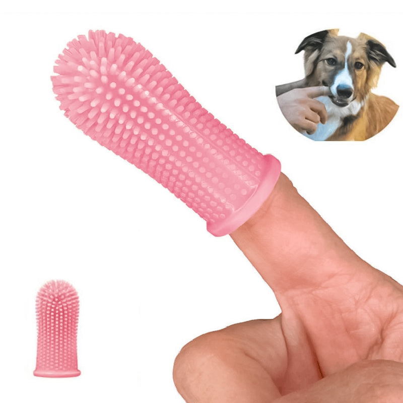 Hjemix | Finger tenner for kjæledyr