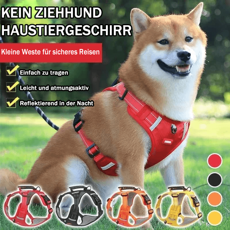 Hjemix | Ingen Trekking Hundesele for Kjæledyr