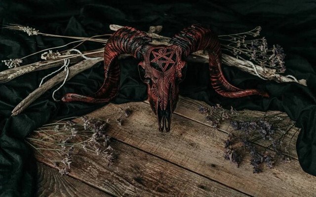 Hjemix | Uskåret værhode