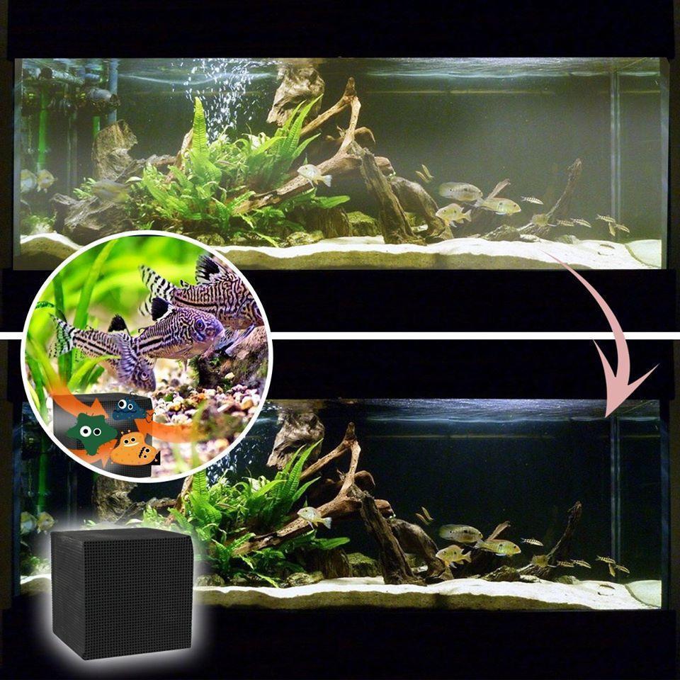 Hjemix | Eco-Aquarium Vannrenser Kubus