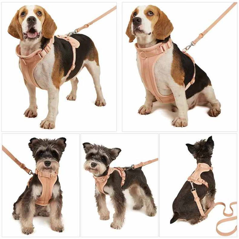 Hjemix | Adjustable Dog Vest Harness with 3 Leash Clips
