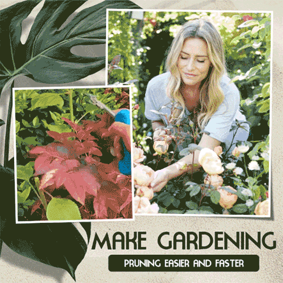 Hjemix | Bærbare spisse beskjæringssaks