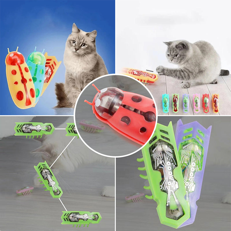 Hjemix | Pet Electric Insect Toy