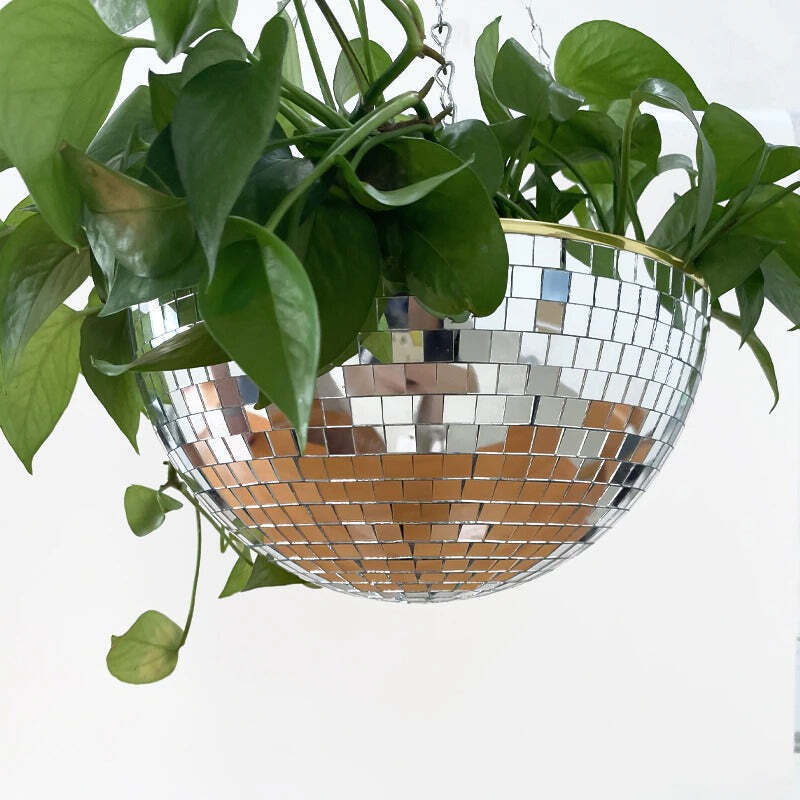 Hjemix | Disco Ball Hengende Plante