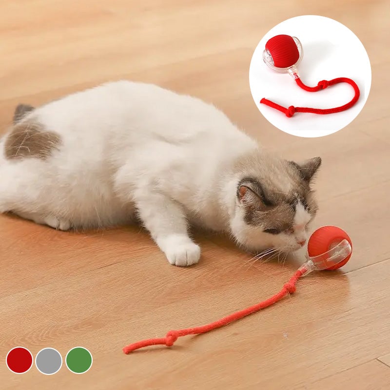 Hjemix | Interaktiv Katt Lek Ball for Innendørs Bruk