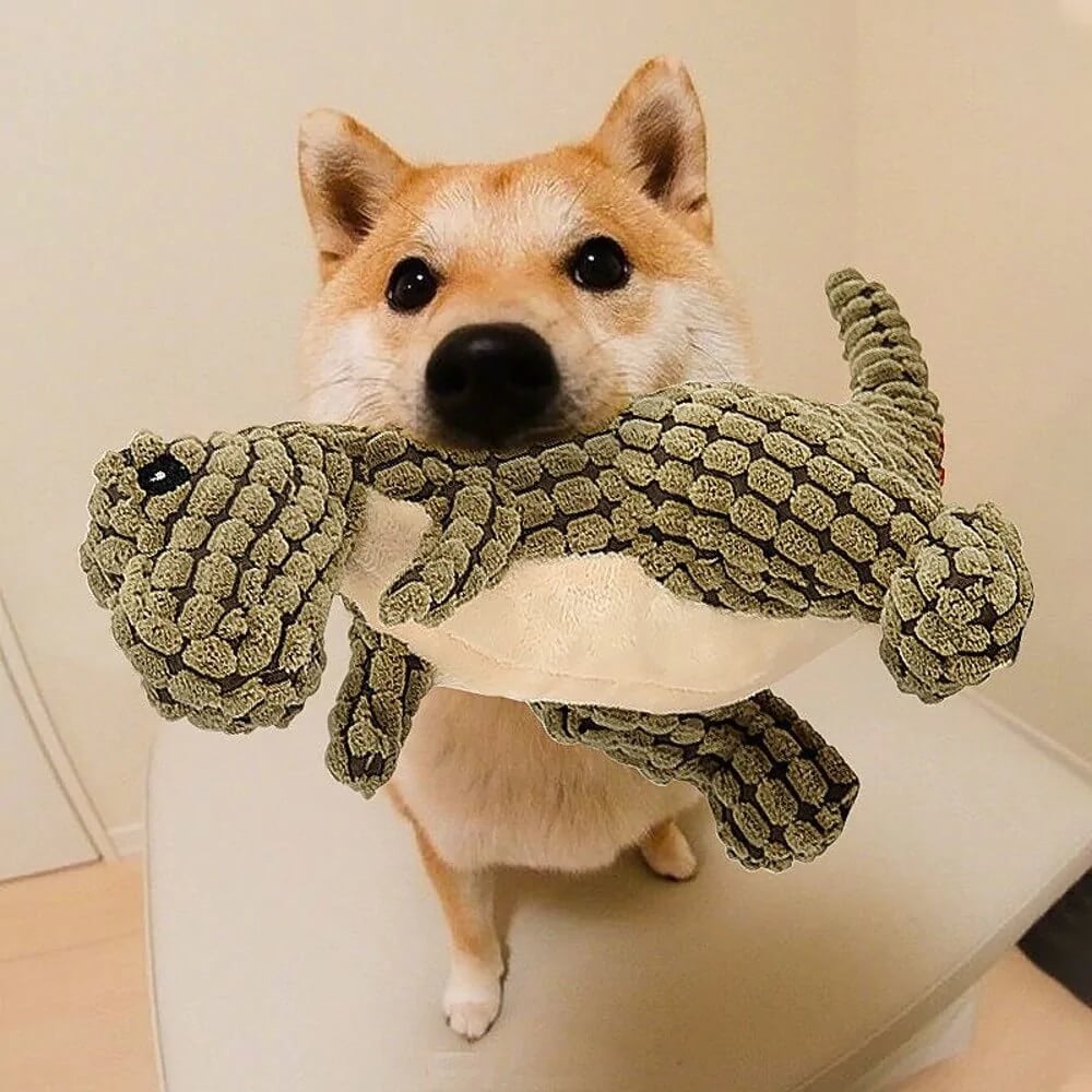 Hjemix | Hundeselskap for tunge tyggere