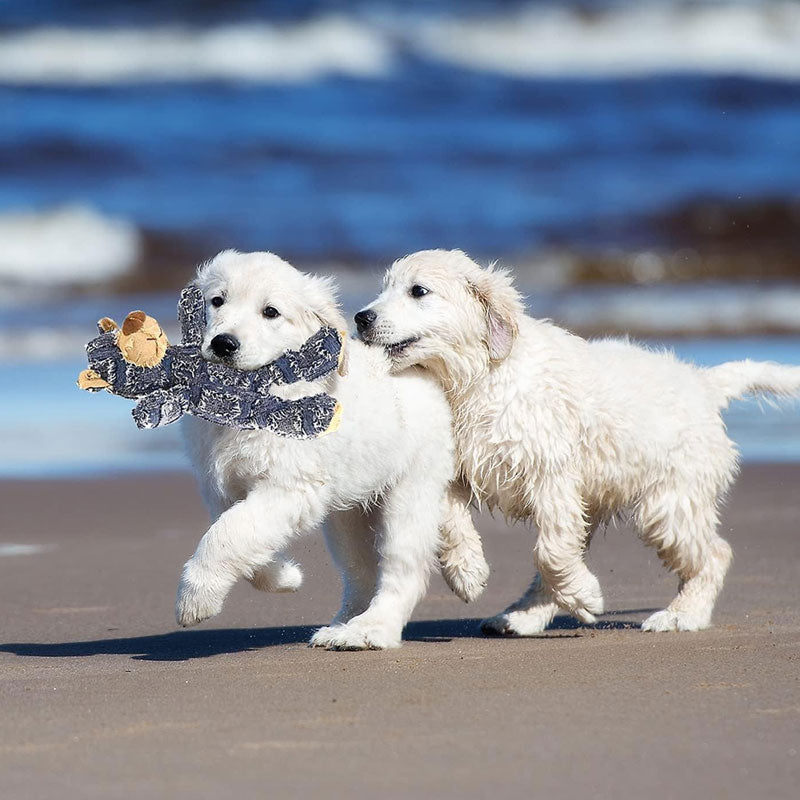 Hjemix | Uforgjengelig Robust Bjørn