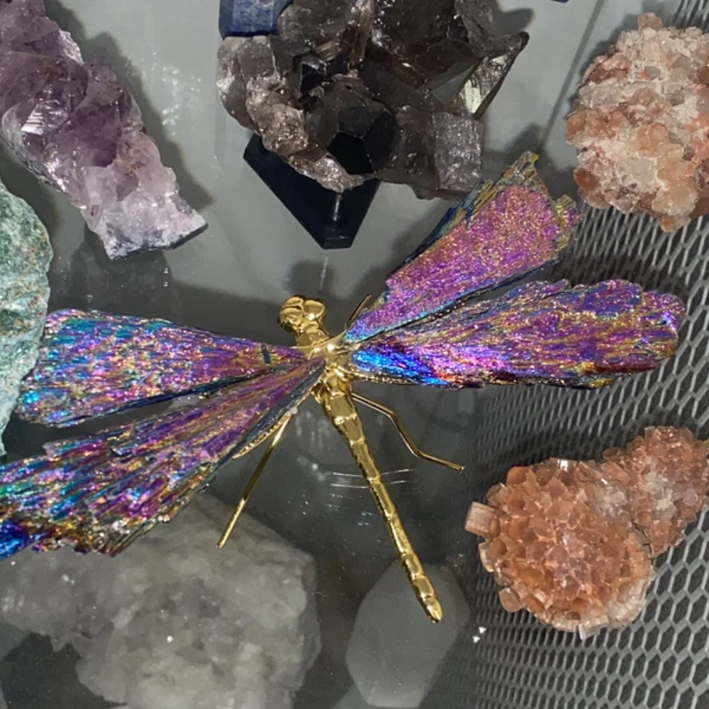 Hjemix | Aurora Libelle Charm