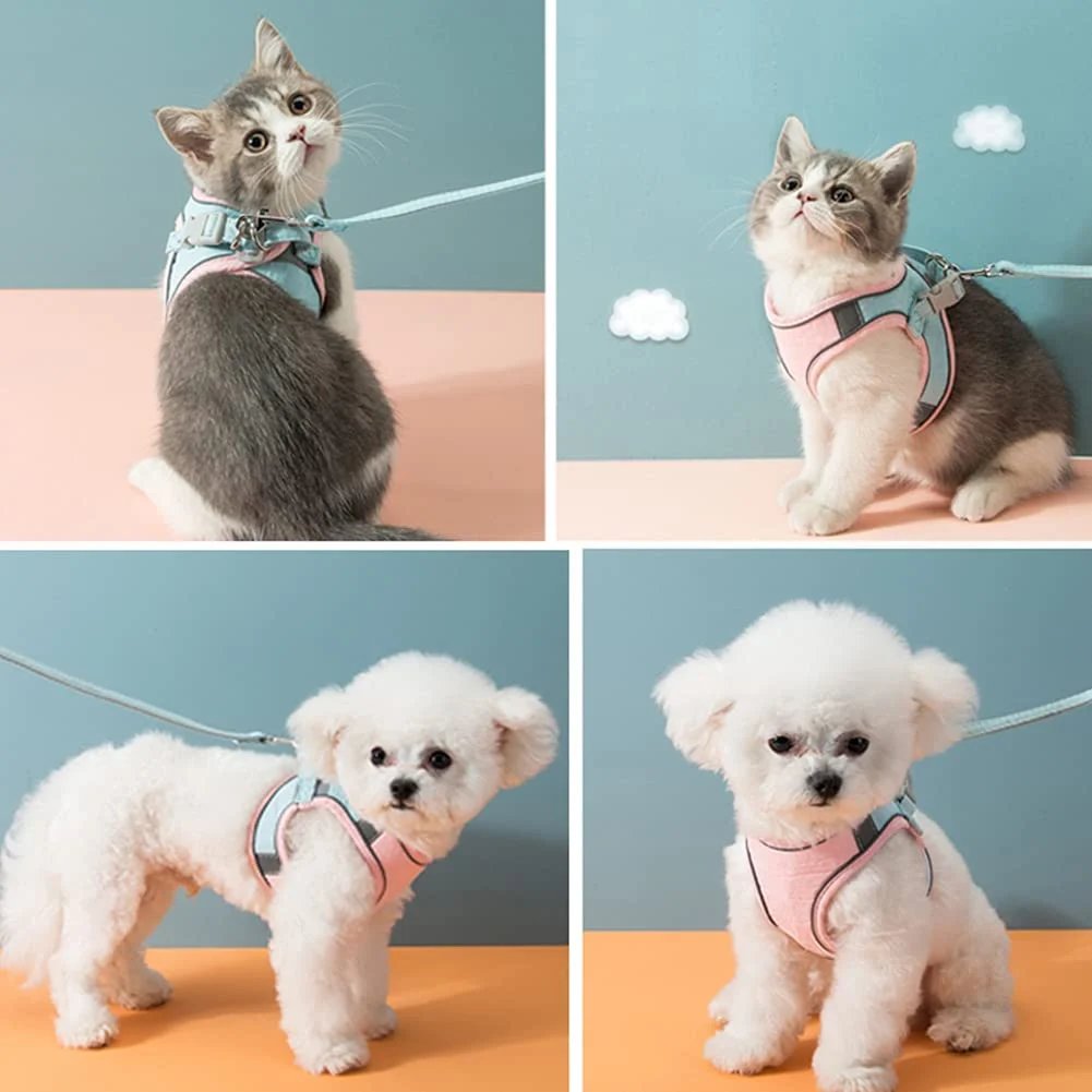 Hjemix | Katt Vest Og Belte Sett Kjæledyr Taksjons Tau