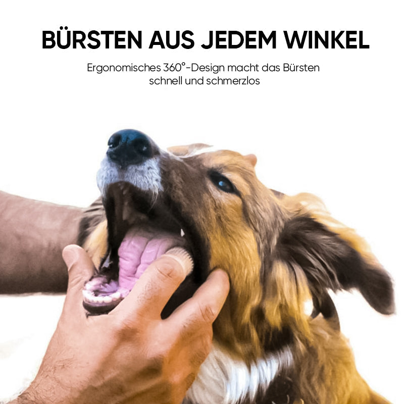 Hjemix | Finger tenner for kjæledyr