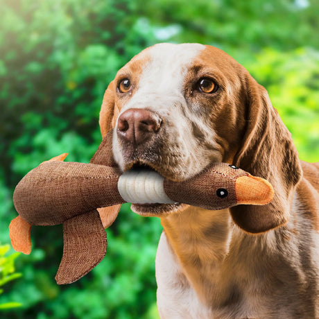 Hjemix | Indestructible Hundelek toy (1+1 GRATIS) - ToughGoose
