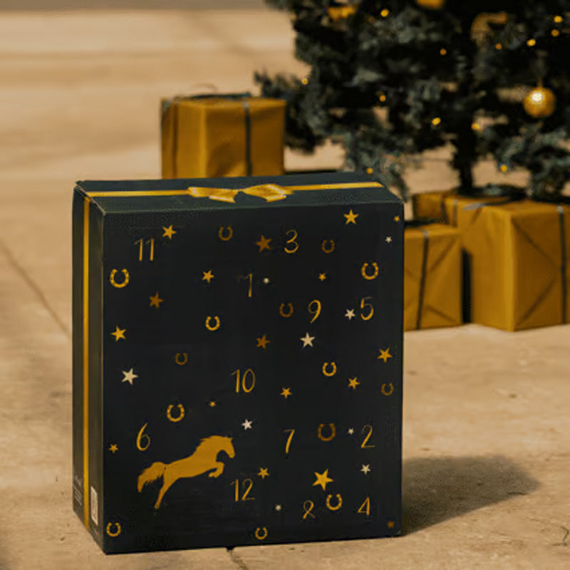 Hjemix | HestefĂ´r Adventskalender 2024
