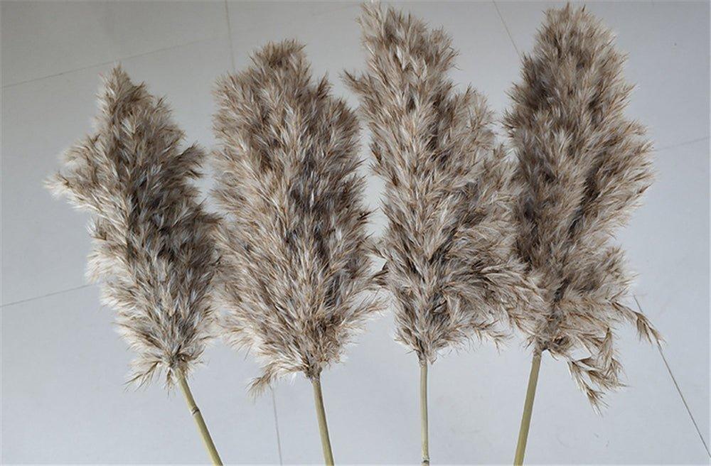 Hjemix | 60 cm naturlig, ekte, brunt-beige tørket pampasgress bukett │ fluffy fjær for moderne boho hjemmeinnredning