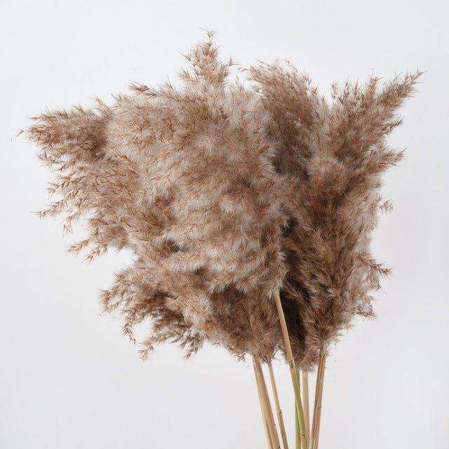 Hjemix | 60 cm naturlig, ekte, brunt-beige tørket pampasgress bukett │ fluffy fjær for moderne boho hjemmeinnredning