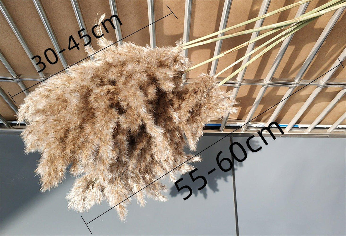 Hjemix | 60 cm naturlig, ekte, brunt-beige tørket pampasgress bukett │ fluffy fjær for moderne boho hjemmeinnredning