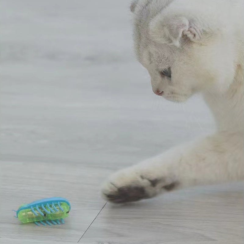 Hjemix | Pet Electric Insect Toy