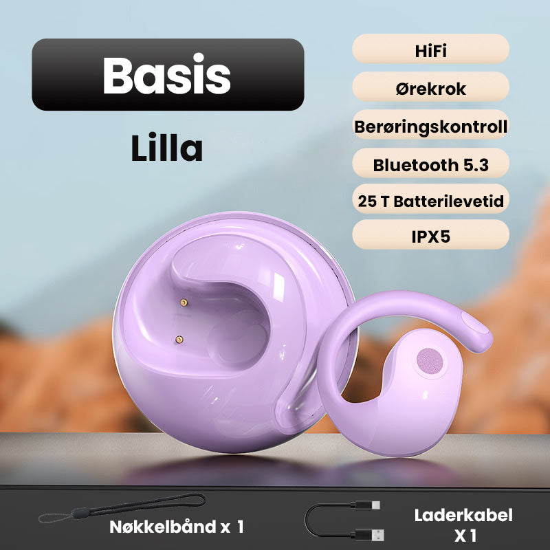 Hjemix | Smarte Trådløse Bluetooth Oversettelses Ørepropper