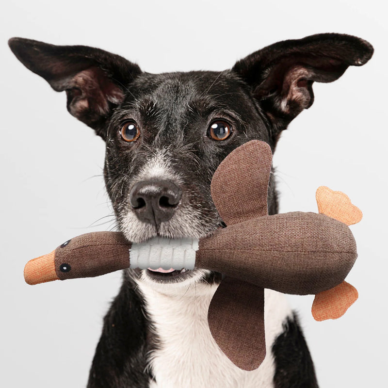 Hjemix | Indestructible Hundelek toy (1+1 GRATIS) - ToughGoose