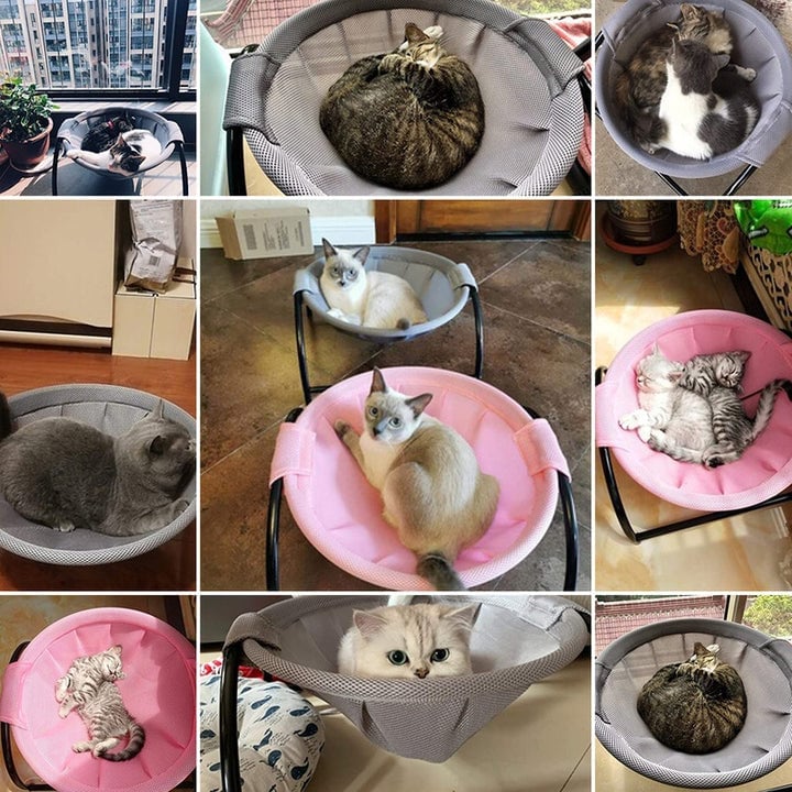 Hjemix | Gulv Katt Hamock-Med Stativ