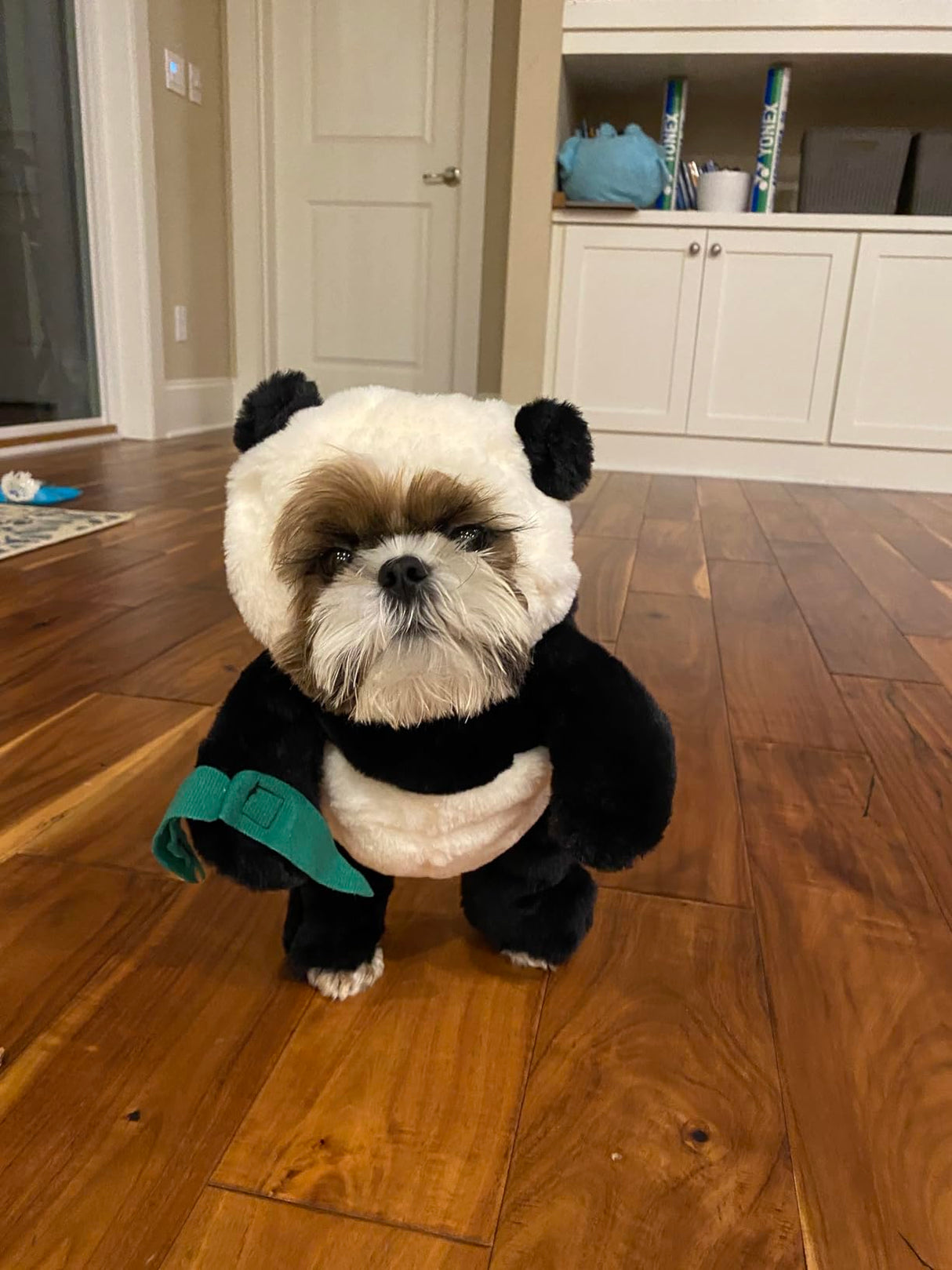 Hjemix | Pandaloon Hund og Katt Kostyme Sett