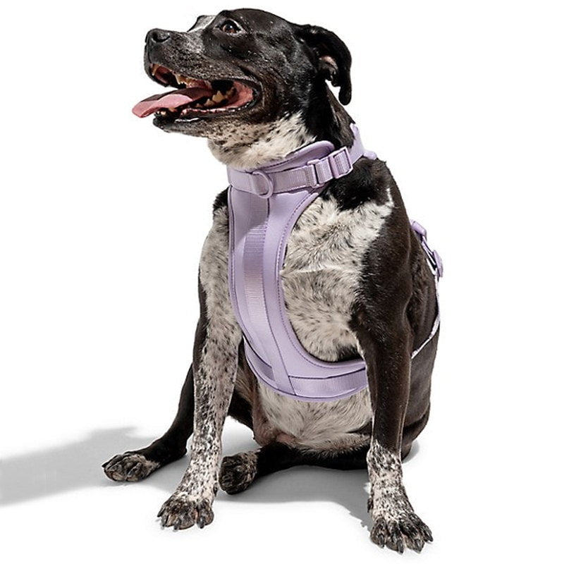 Hjemix | Adjustable Dog Vest Harness with 3 Leash Clips