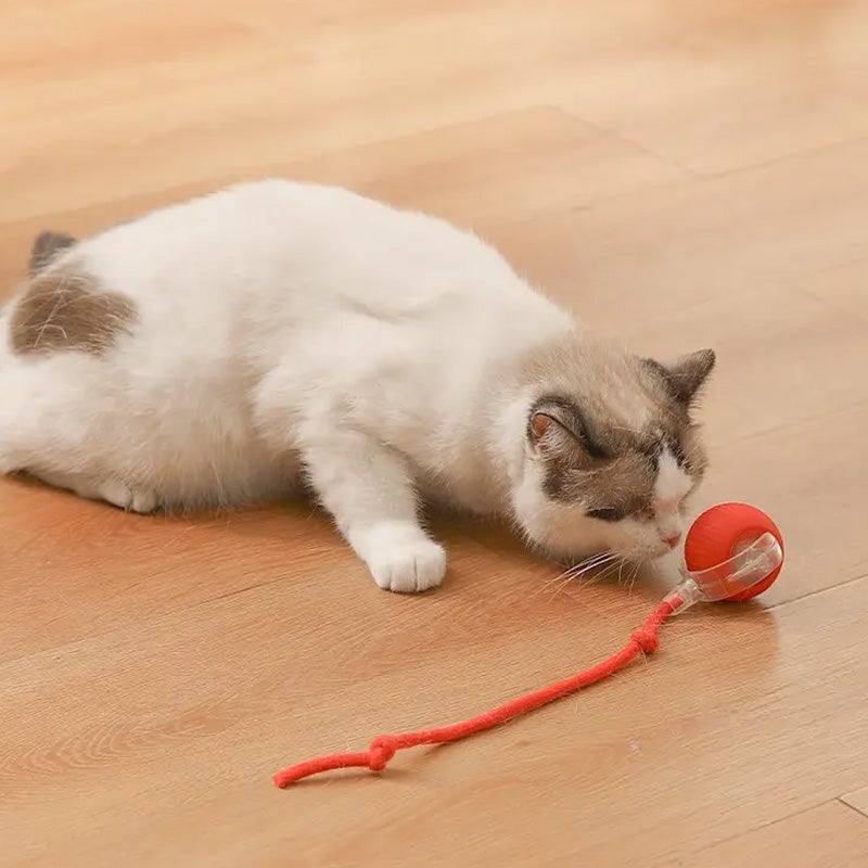 Hjemix | Interaktiv Katt Lek Ball for Innendørs Bruk