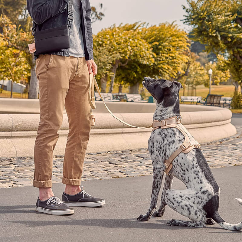 Hjemix | Adjustable Dog Vest Harness with 3 Leash Clips