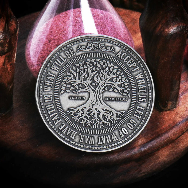 Hjemix | Denne vil passere minnemynter (5 stk)