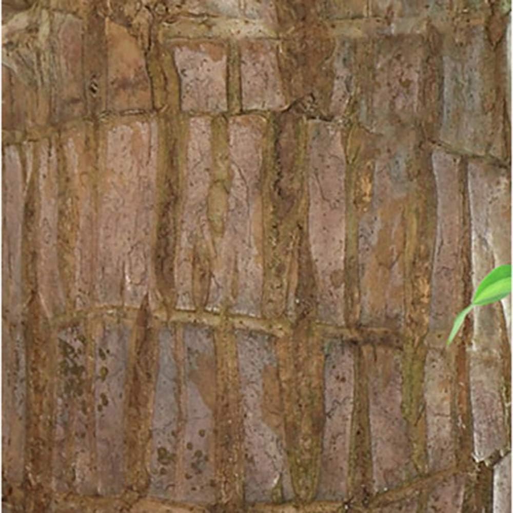 Hjemix | Lucky Brazil Wood Potted Plant