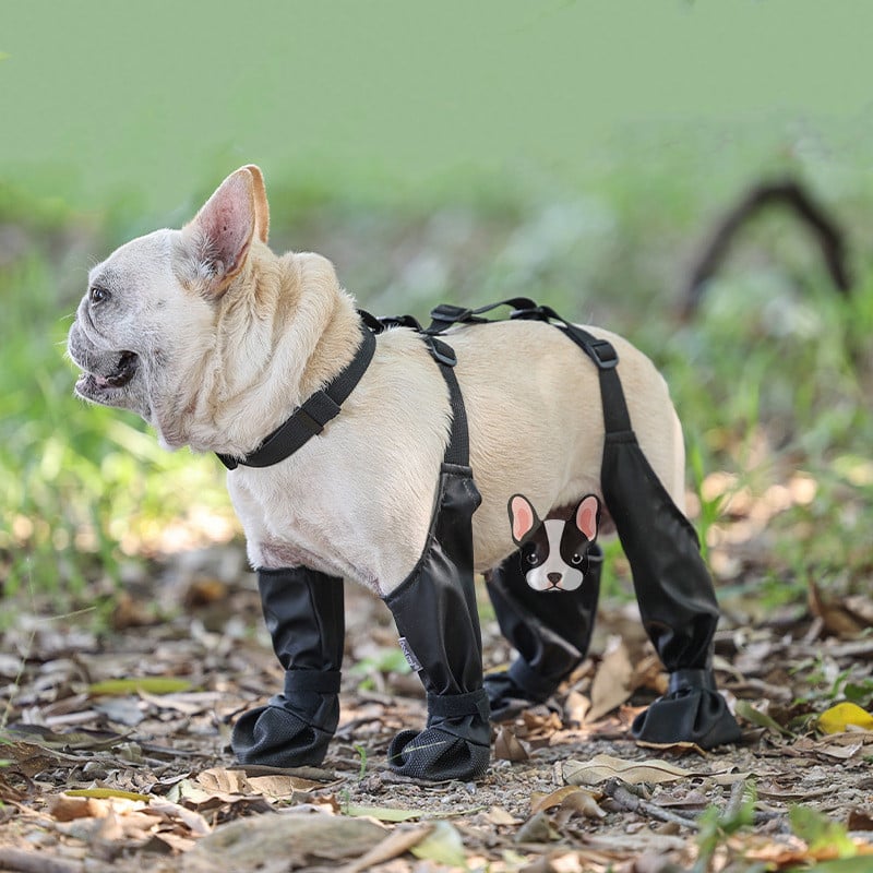 Hjemix | Suspendersko