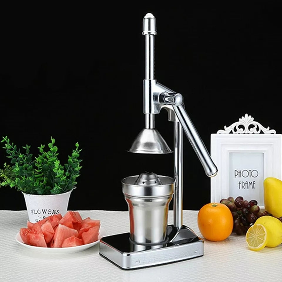 Hjemix | Rustfritt Stål Fruktjuicer