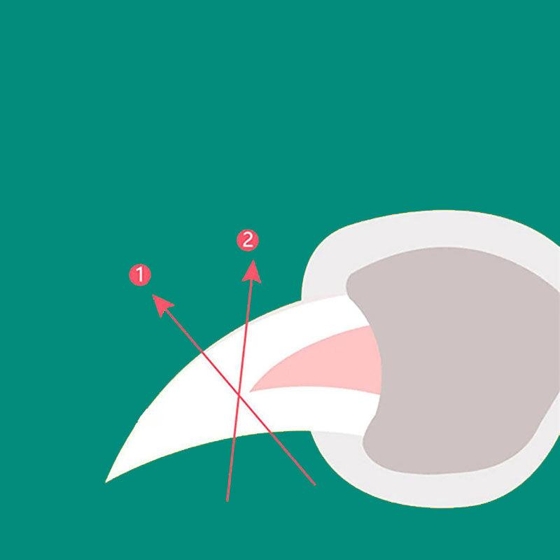 Hjemix | MAX - Beste negleklipper for hunder med hurtigsensorer