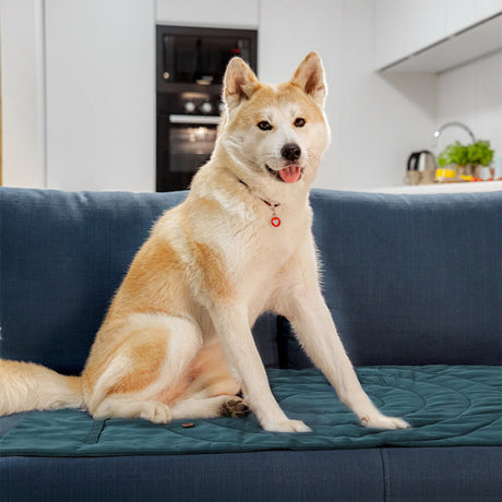 Hjemix | Sammenleggbar Vanntett Bærbar Hund Bilsete Matte Hund Camping Matte