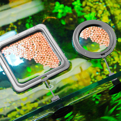 Hjemix | Akvarium mating ring