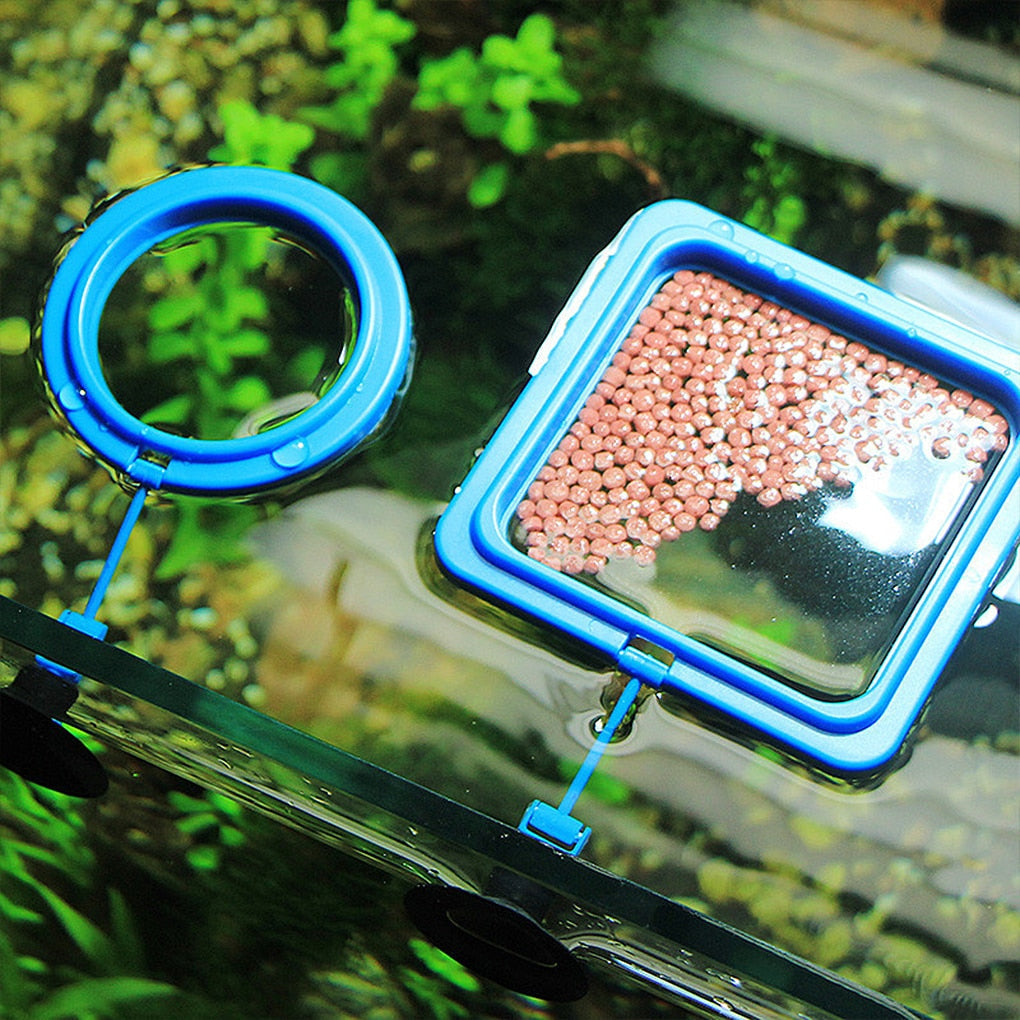 Hjemix | Akvarium mating ring