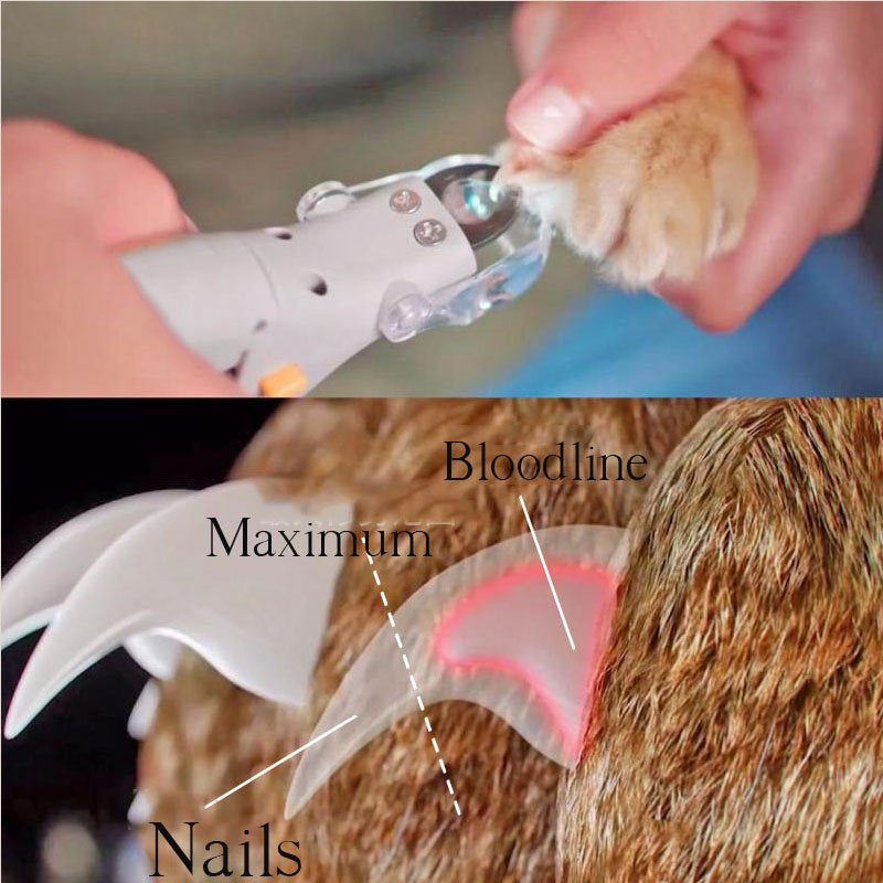 Hjemix | Negleklipper for hunder | Sikker tåneglklipper