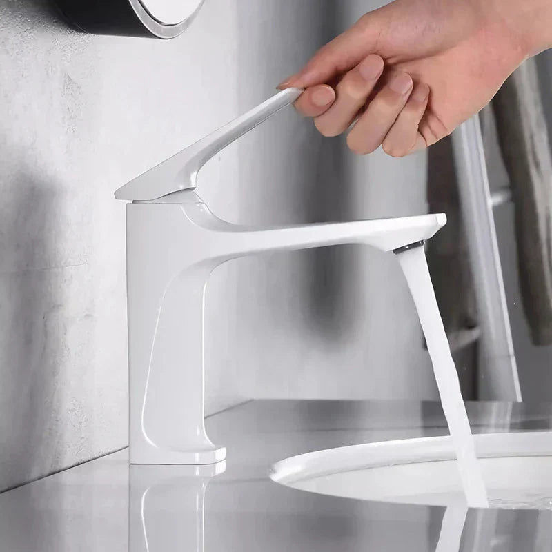 Hjemix | Elegant badevannkran - med enkel dør for tidløs komfort