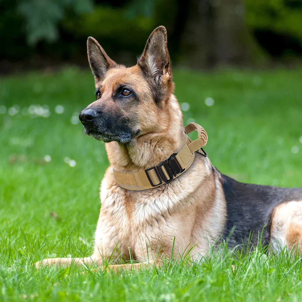 Hjemix | Militær hundetrenings halsbånd – Holdbart, reflekterende nylonhalsbånd