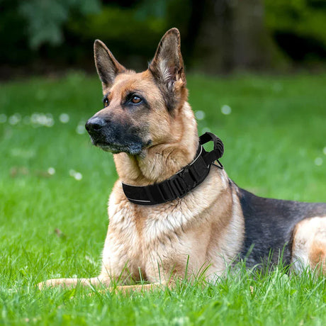 Hjemix | Militær hundetrenings halsbånd – Holdbart, reflekterende nylonhalsbånd