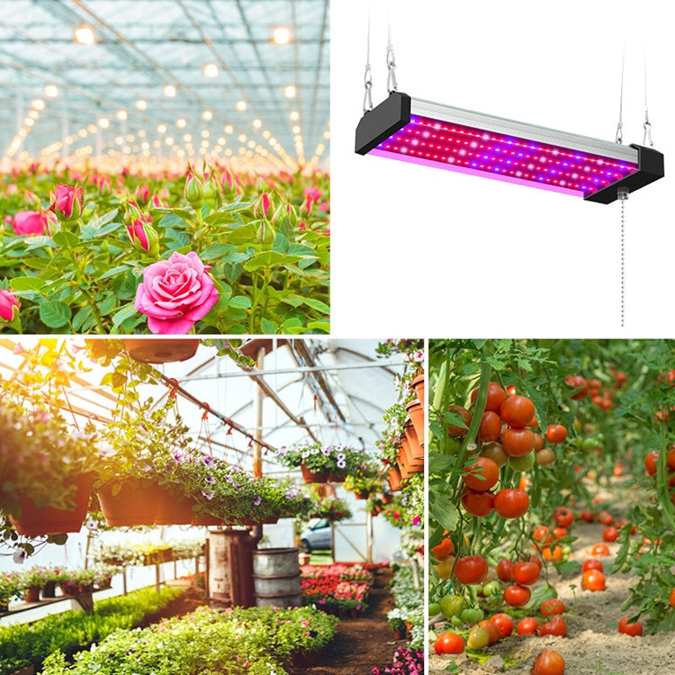 Hjemix | LED vekstlampe full spekterplante lys rør, Stil: Liten dobbel rad 100 cm (EU-plugg)