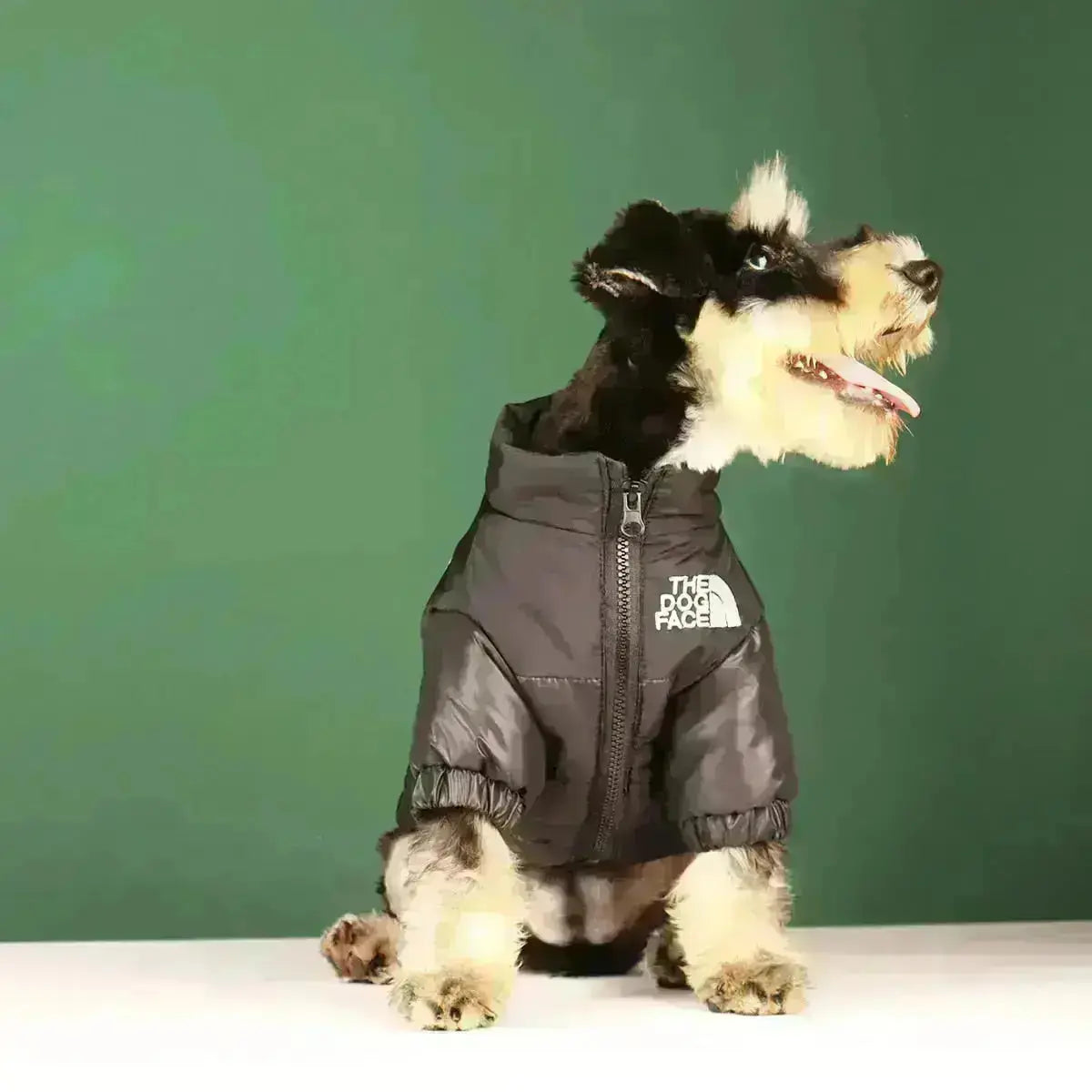 Hjemix | The Dog Face Jacket - Type A