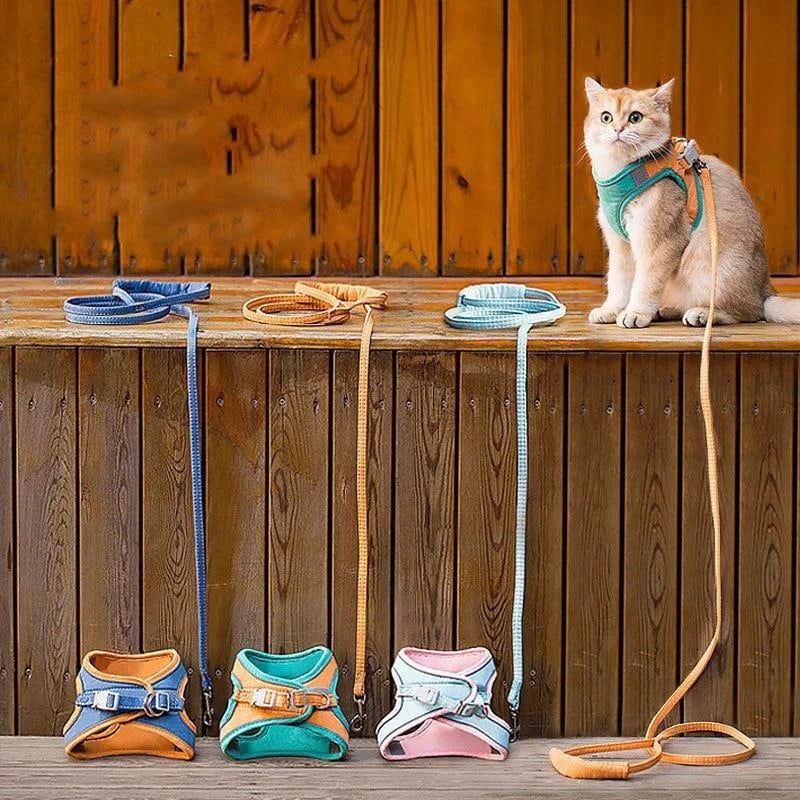 Hjemix | Katt Vest Og Belte Sett Kjæledyr Taksjons Tau